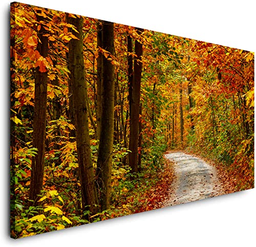 Leinwand Bild-WALDWEG IM HERBST-(PP360)-120x80 cm-Foto Kunst Fine Art Print Canvas Wandbild Dekoration Querformat von PLANET PHOTOWALLS