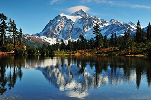 VLIES Fototapete-300x223 cm-GEBIRGE-(PF890)-Alpen Berge Landschaft Natur Alm Gipfel Blumen Bäume Wald Wandbild Wandtattoo Dekoration von PLANET PHOTOWALLS