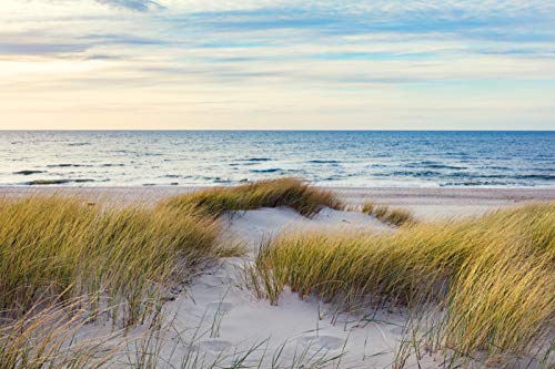 VLIES Fototapete-300x223 cm-STRAND-(PF1098)-Nordsee Ostsee Ozean Sand Meer See Dünen Sonne Himmel Wandbild Wandtattoo Poster Dekoration von PLANET PHOTOWALLS