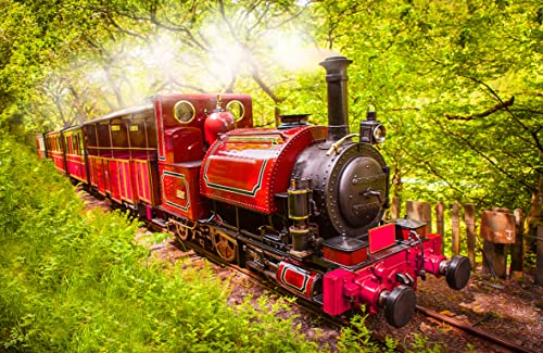 VLIES Fototapete-DAMPFLOK-(x1044ah)-250x186 cm-Eisenbahn, Lokomotive, Zug, Dampfross, Vintage, XXL Wandbild, Poster, Dekoration von PLANET PHOTOWALLS