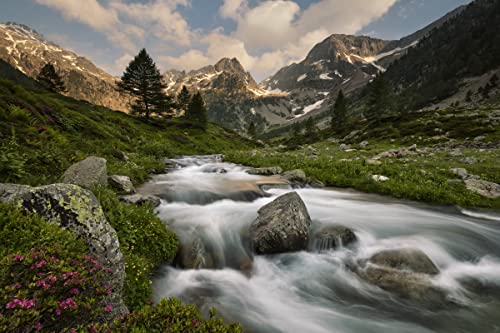 VLIES Fototapete-GEBIRGE-(PF6821)-250x186 cm-Landschaft Berge Wasserfall See Alpen Wiese Blumen Wandbild Wandtatoo Poster Moderne Tapete Premium Print von PLANET PHOTOWALLS