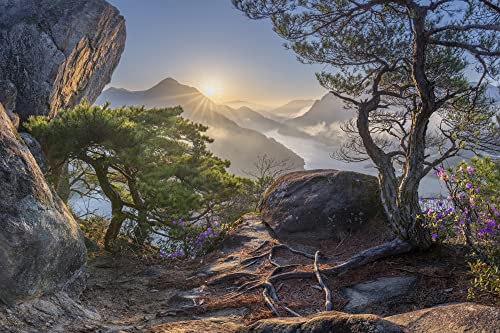 VLIES Fototapete-GEBIRGE-(PF7154)-300x223 cm-Alpen Berge Landschaft Natur Alm Gipfel Blumen Bäume Wald Dekoration XXL Wandbild Poster Moderne Tapete von PLANET PHOTOWALLS