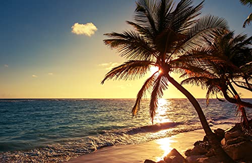 VLIES Fototapete-SÜDSEE-(PF4897)-Palmen Strand Meer Urlaub Reise Karibik Südsee Wandbild Wandtattoo Poster Dekoration von PLANET PHOTOWALLS