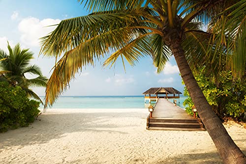 VLIES Fototapete-SÜDSEE-(PF5136)-Palmen Strand Meer Urlaub Reise Karibik Südsee Wandbild Wandtattoo Poster Dekoration von PLANET PHOTOWALLS