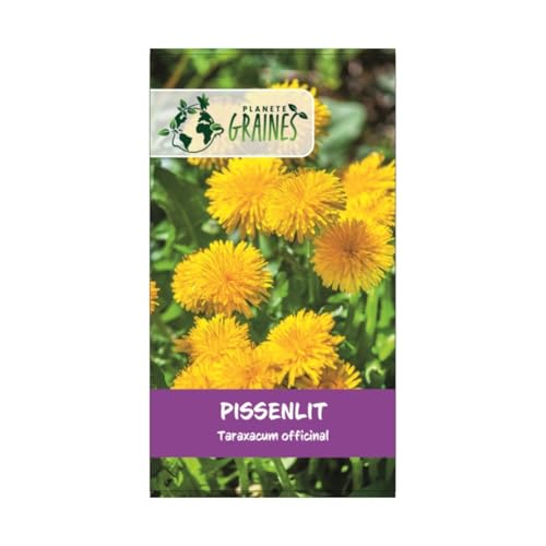 1000 Samen Wildlöwenzahn – Dandelion – Futter für Landschildkröten – einfach anzubauen 1000 Samen Wildlöwenzahn – Dandelion – Futter für Landschildkröten – einfach anzubauen von PLANETE GRAINES