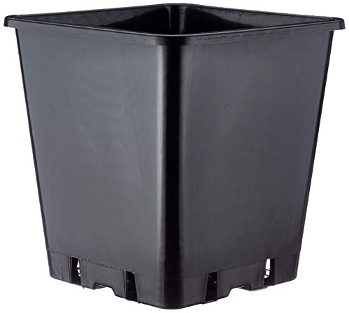 PLANT IT Töpfe Quadratischer, 25 cm, 11 L, schwarz PLANT IT Töpfe Quadratischer, 25 cm, 11 L, schwarz von PLANT!T
