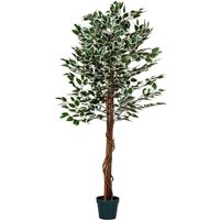 Plantasia - Großer grüner Ficus Baum, Kunstbaum, 160cm von PLANTASIA
