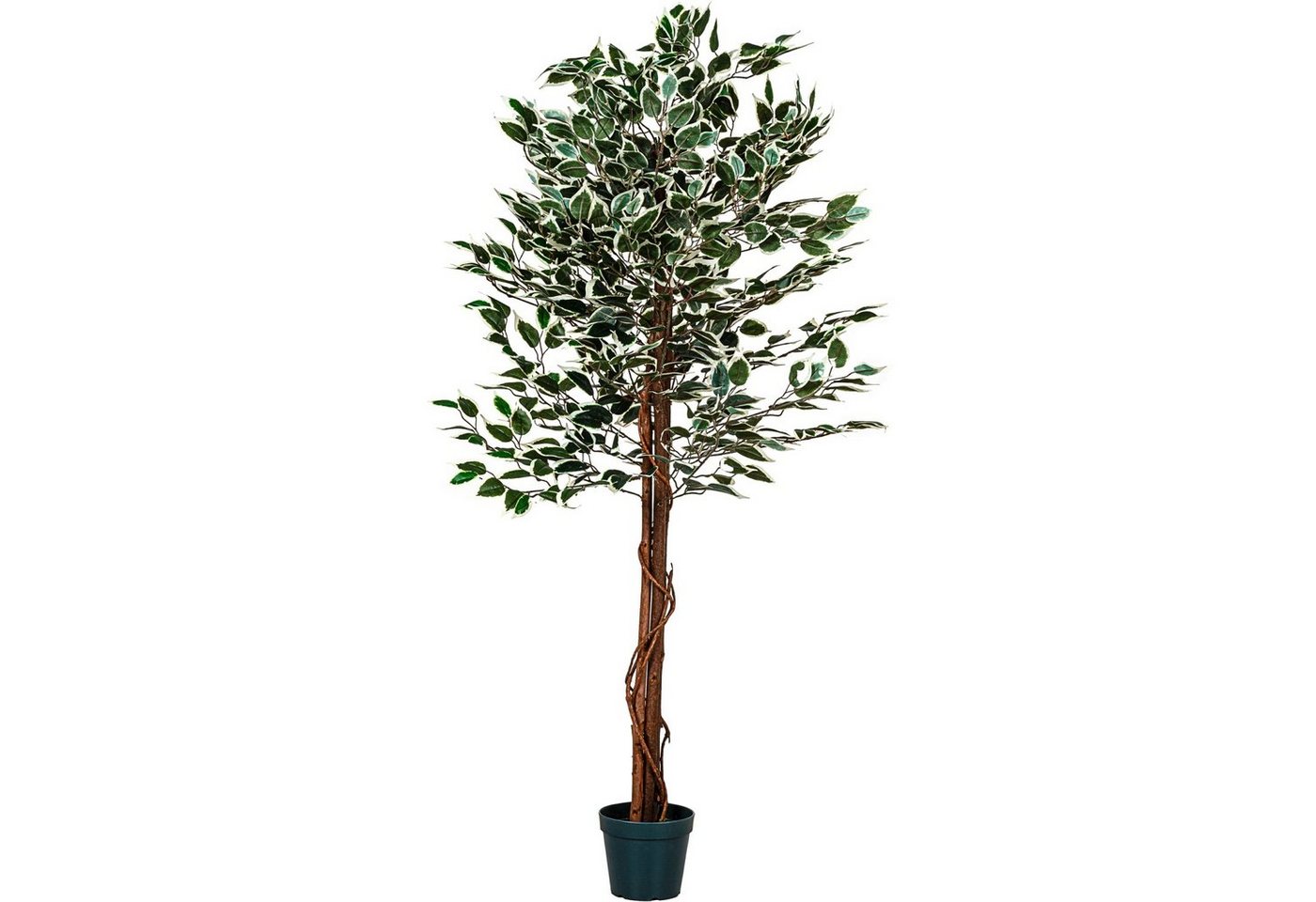 Kunstbaum Künstlicher Ficus Benjamini Ficusbaum Kunstpflanze Ficusbaum, PLANTASIA, Höhe 160,00 cm, 160 cm, 714 Blätter, Echtholzstamm, Größenwahl von PLANTASIA