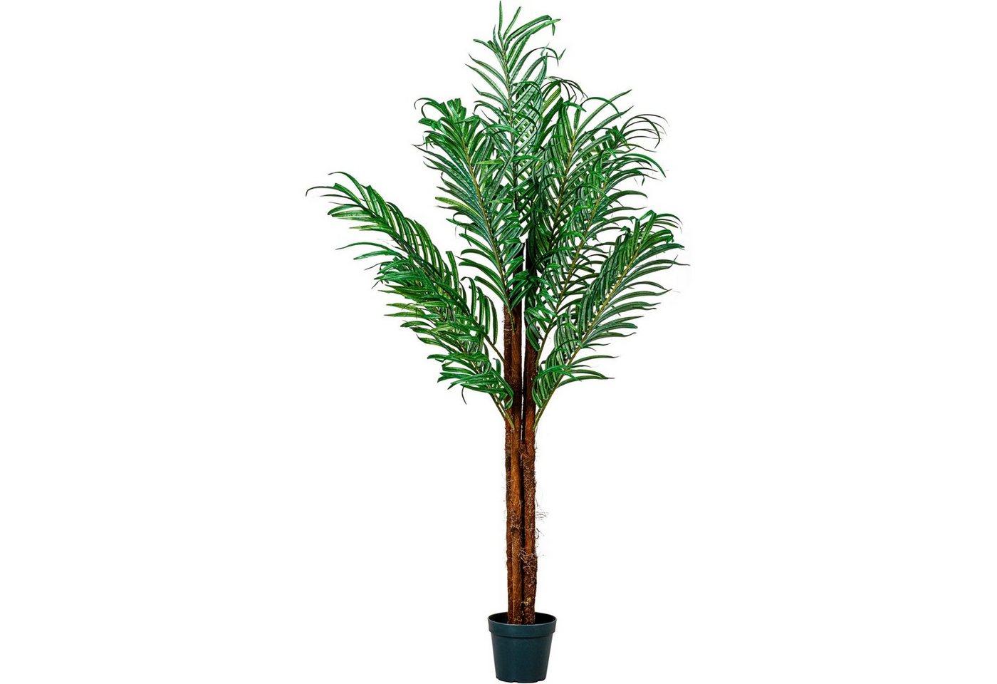Kunstbaum Künstliche Kokos Palme Kunstpflanze Kunstbaum Kokos Palme, PLANTASIA, Höhe 160,00 cm, 160 cm, 420 Blätter, Echtholzstamm von PLANTASIA