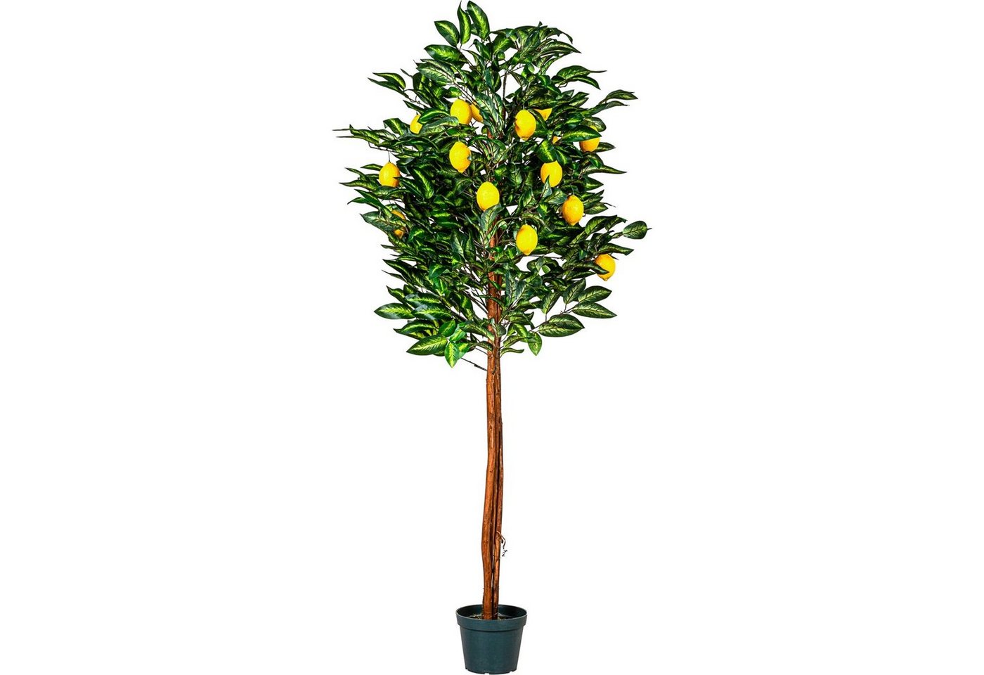 Kunstbaum Künstlicher Zitronenbaum Kunstpflanze Dekobaum Zitronenbaum, PLANTASIA, Höhe 180,00 cm, 180 cm, 30 Zweige & 20 Früchte, Echtholzstamm von PLANTASIA