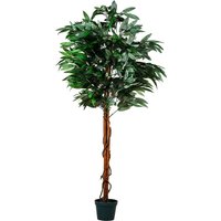 Mangobaum, Kunstbaum, Kunstpflanze, 180cm - Plantasia von PLANTASIA
