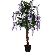Plantasia - Wisteria Blauregen, 120cm, Violette Blumen von PLANTASIA