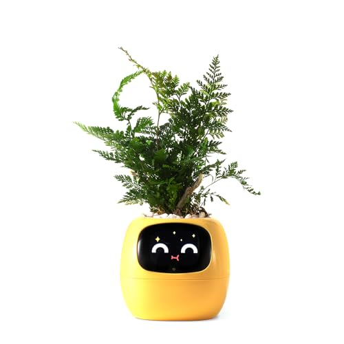 PLANTSIO Endless Fun Smart pet Planter Ivy, 70 Expressions, 7 Smart sensors, and AI Chips Make Raising Plants Easy and Fun (Yellow) von PLANTSIO