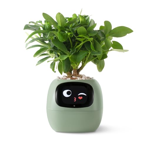 PLANTSIO Intelligenter Haustier-Pflanzgefäß, Roboter-Anleitung zur Pflanzenpflege mit Emojis, bezaubernder Pflanzenbegleiter mit reichhaltiger Gesten-Interaktion, ordentliches Geschenk für den PLANTSIO Intelligenter Haustier-Pflanzgefäß, Roboter-Anleitung zur Pflanzenpflege mit Emojis, bezaubernder Pflanzenbegleiter mit reichhaltiger Gesten-Interaktion, ordentliches Geschenk für den von PLANTSIO