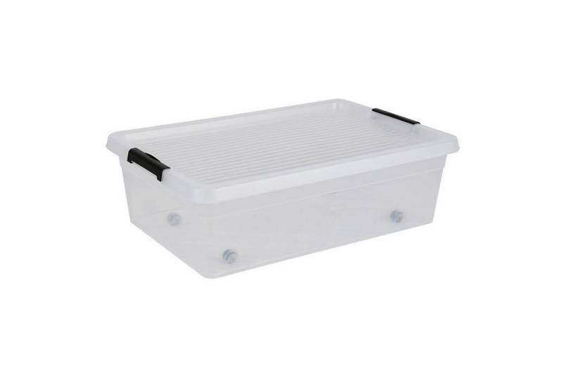 PLAST1 Aufbewahrungsbox Unterbettbox ONE Unterbettkommode Rollenbox Aufbewahrungsbox Rollbox S von PLAST1