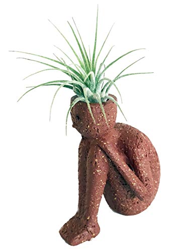 PLAT FIRM GERMINATIONSAMEN: Denker 2.0 Keramik Vase/Wohnen Luft-Pflanze - Orange - 2" x 2" x 4" Live-Trends PLAT FIRM GERMINATIONSAMEN: Denker 2.0 Keramik Vase/Wohnen Luft-Pflanze - Orange - 2" x 2" x 4" Live-Trends von PLAT FIRM