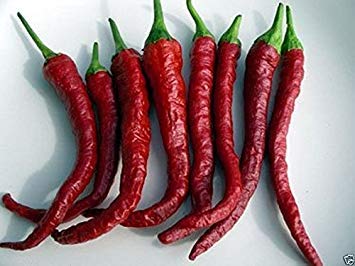 PLAT FIRM: Kashmiri Chili (30 Pepper Samen) Berühmter indischer Paprika -A muss wachsen. Sehr selten von PLAT FIRM