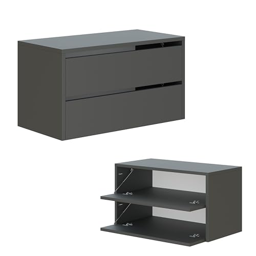 PLATAN ROOM Schuhschrank 80 cm breit Schuhregal Flurschrank mit 2/4 Ablagen Schuhkommode bis zu 16 Paar Schuhablage Schuhaufbewahrung (2 Ablagen, Anthrazit) von PLATAN ROOM