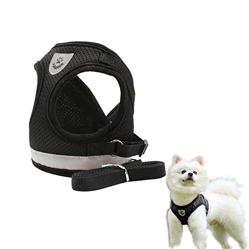 PLATEYTR Verstellbar Reflektierend Hundegeschirr Set mit Leine, Hundegeschirr Kleine Hunde, mit Leine Ausbruchsicher Geeignet für MittelgroßeKleine Haustier für Spaziergänge im Freien, Training von PLATEYTR