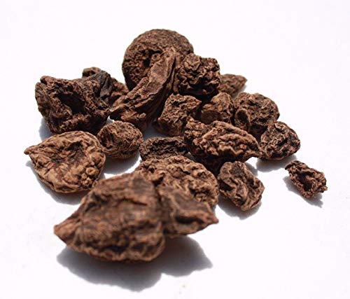 PLATFIRM Keim Seeds: 1 Ounce: HOCH Johannes DER Conqueror Root Santeria CA HEIDNISCHE Gothic Witch, Curio 1 Unze - 12 Unzen PLATFIRM Keim Seeds: 1 Ounce: HOCH Johannes DER Conqueror Root Santeria CA HEIDNISCHE Gothic Witch, Curio 1 Unze - 12 Unzen von PLATFIRM