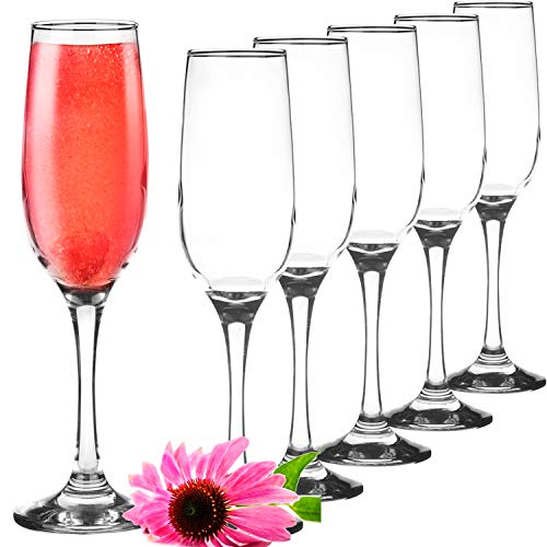 PLATINUX Stabile Sektgläser Champagnergläser Set 6 Teilig 200 ml Prosecco Gläser Sektflöten Sektkelche aus Glas massiv Sektglas von PLATINUX