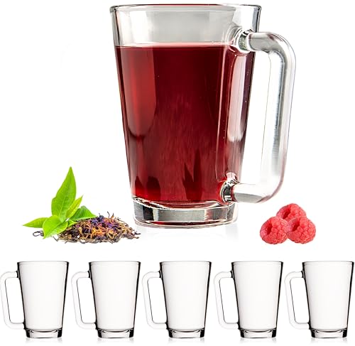 PLATINUX Teegläser mit Henkel aus Glas Kaffeegläser 220ml (max.280ml) Set 6-Teilig groß Glastassen spülmaschinenfest von PLATINUX