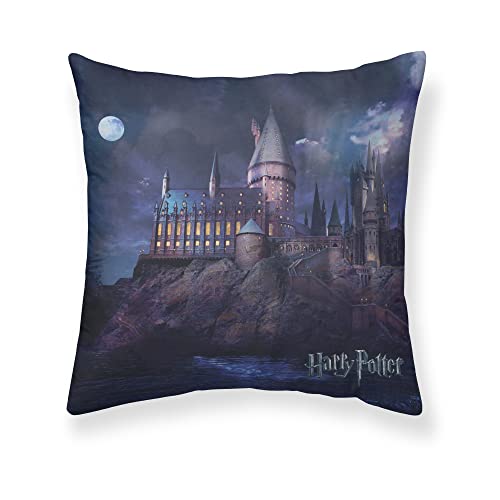 BELUM Kissenbezug Harry Potter, Größe: 50 x 50 cm, Modell: Go to Hogwarts A, Stoff: Half Panama, 100% Baumwolle, 250 g. von BL BELUM