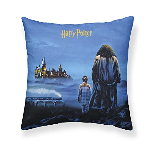 Belum Kissenbezug Harry Potter, Größe: 50 x 50 cm, Modell: Philosopher's Stone A, Stoff: Half Panama 100% Baumwolle, 250 g. Belum Kissenbezug Harry Potter, Größe: 50 x 50 cm, Modell: Philosopher's Stone A, Stoff: Half Panama 100% Baumwolle, 250 g. von BL BELUM