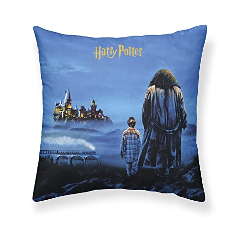 Belum Kissenbezug Harry Potter, Größe: 50 x 50 cm, Modell: Philosopher's Stone A, Stoff: Half Panama 100% Baumwolle, 250 g. von BL BELUM