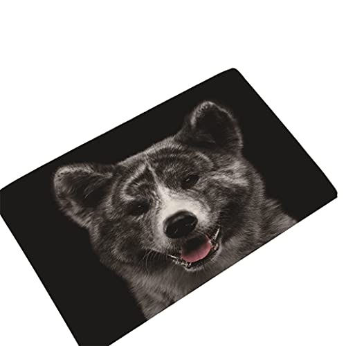 PLCPDM Rutschfeste Fußmatte mit Hundemuster, 40 x 60 cm, für den Außenbereich, Küche, Wohnzimmer, Bodenmatte PLCPDM Rutschfeste Fußmatte mit Hundemuster, 40 x 60 cm, für den Außenbereich, Küche, Wohnzimmer, Bodenmatte von PLCPDM