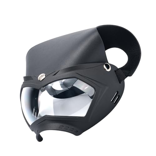 PLCPDM Windschutz Hunde Sonnenbrille Geeignet Für Große Hunde Haustiergläser Für Snow Beach Outdoor Snow Sports Auge Tragen Stilvolle Hundebrillen Mit Riemen PLCPDM Windschutz Hunde Sonnenbrille Geeignet Für Große Hunde Haustiergläser Für Snow Beach Outdoor Snow Sports Auge Tragen Stilvolle Hundebrillen Mit Riemen von PLCPDM