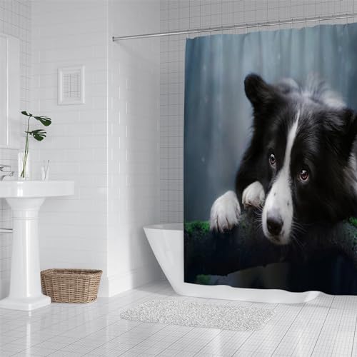 PLEETS Duschvorhänge Border Collie Duschvorhang aus Polyester mit 12 Duschvorhangringe Badezimmer Wasserabweisend und Anti-Schimmel waschbare badvorhang 150x180cm von PLEETS