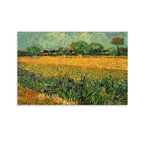 View of Arles with Irises in The Foreground Van Gogh Arles Efecto 3D Arte De La Pared Impresiones En Lienzo Obra De Arte Sala De Estar Lienzo Arte De La Pared Pinturas Sobre Lienzo Arte De La Pared De von PLEETS