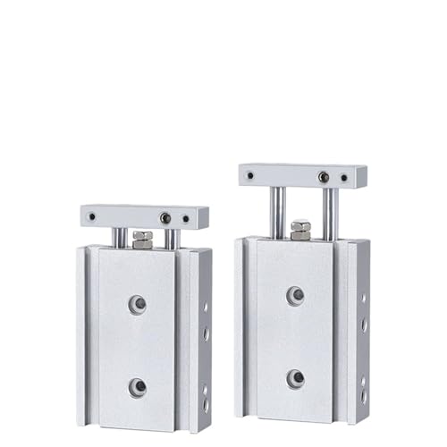 TR-Serie Doppelstangenzylinder Bohrung 10 mm Gleitlager Luftpneumatikzylinder TR10X10S TR10X50S TR10X100S TR10X200S(TR10X60S) von PLEFZUSLS