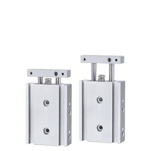 TR-Serie Doppelstangenzylinder Bohrung 20 mm Gleitlager Luftpneumatikzylinder TR20X20S TR20X50S TR20X100S TR20X200S(TR20X40S) von PLEFZUSLS