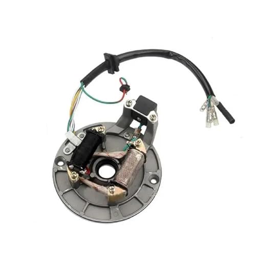 PLFMFVBLBG Zündungen Für 50 Cc 70 Cc 110 Cc 125 Cc 4 Hub 1 Set Zündung Stator Kabelbaum Zündspule Magnetoes Stator Motocicleta Zündungen von PLFMFVBLBG