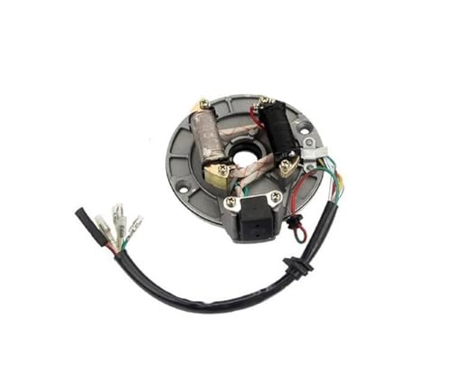 PLFMFVBLBG Zündungen Für 50 Cc 70 Cc 110 Cc 125 Cc 4 Hub 1 Set Zündung Stator Motorrad Ersatz Teile Motocicleta Zündungen von PLFMFVBLBG