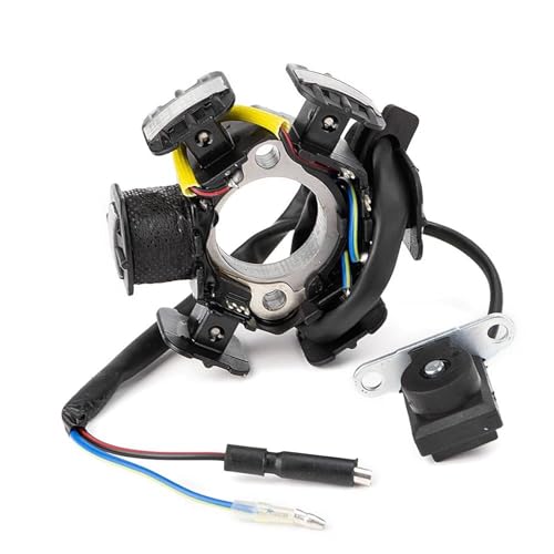 Zündungen Für CRF50F Für CRF70F Für XR50R Für XR70R Für Z50R 2012-2018 Motorrad Generator Stator Spule 31120-GW8-671 31120-GW8-672 Motocicleta Zündungen von PLFMFVBLBG