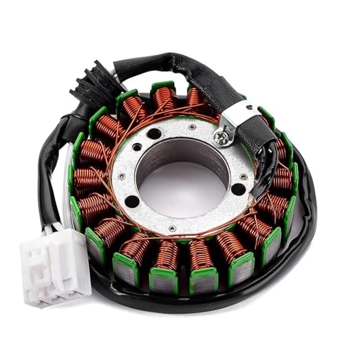 Zündungen Für FZS1000 Für Fazer Für FZS1 5LV-81410-00 5LV8141000 Motorrad Magneto Motor Generator Lade Stator Spule Motocicleta Zündungen von PLFMFVBLBG