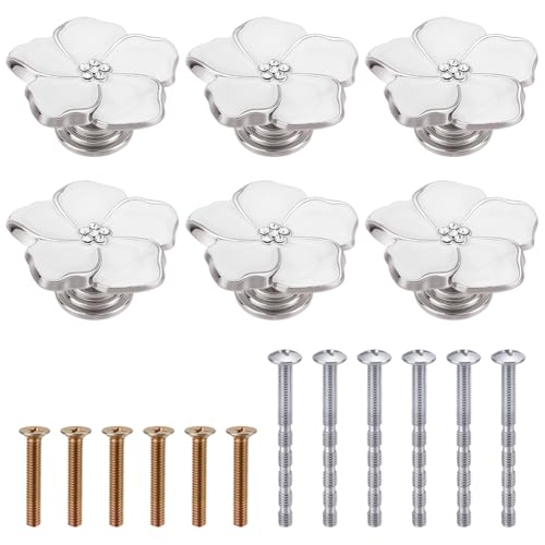 PLIGREAT Schubladengriffe mit Blumenmuster, Zinklegierung, mit 12 Befestigungsschrauben, dekorative Griffe für Kommode, Küche, Schrank, Tür, silberfarbener Rand, 6 Stück PLIGREAT Schubladengriffe mit Blumenmuster, Zinklegierung, mit 12 Befestigungsschrauben, dekorative Griffe für Kommode, Küche, Schrank, Tür, silberfarbener Rand, 6 Stück von PLIGREAT