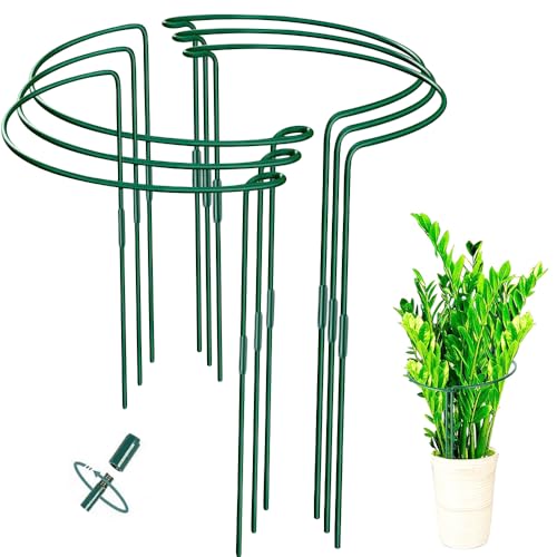 PLLYPE 6 Stück Strauchstütze, Staudenhalter 60 x 25 cm, Pflanzenstütze Halbrund, DIY Höhe und Kombination, Pflanzenstütze Ringkäfige für Blumen, Sträucher, Topfpflanzen, Metall von PLLYPE