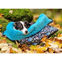 Hundeschlafsack Softshell Totenkopf Neon + Frottée Aqua Reißverschluss in Wunschfarbe Reisebett Plüschbüddel Für Haustiere von PLUESCHBUEDDEL