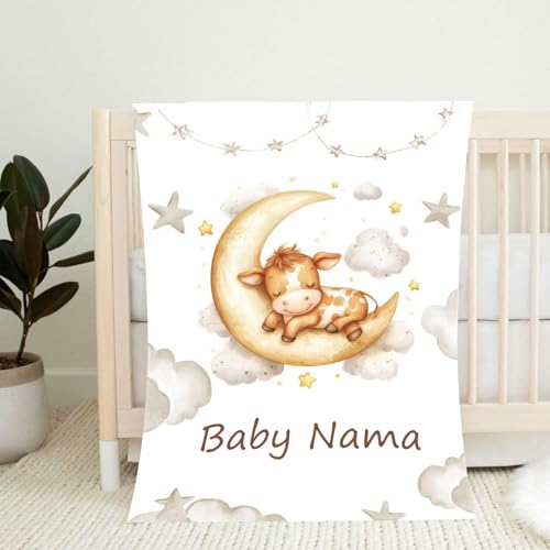 Babydecke mit Namen Personalisiert,Flauschige Warme Kuscheldecke mit Namen und Geburtsdatum,Geschenk Baby Taufe Geburt Mädchen Junge für Kinderdecke Namensdecke Krabbeldecke von PLYIHE