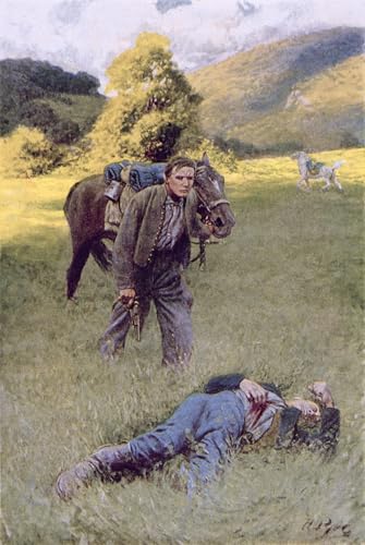 PMEFGJDPE Bekannt Deko Kunstdrucke Bilder Tier Poster Ein einsames Duell inmitten eines großen Sonnenfeldes von Howard Pyle Abstrakte Leinwand Kunst für Wohnzimmerdekoration 60x90cm von PMEFGJDPE
