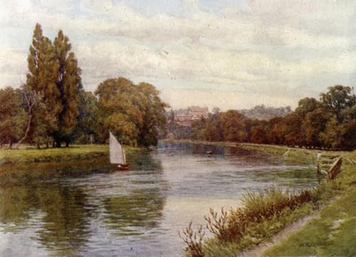 PMEFGJDPE Bekannt Deko Kunstdrucke Bilder Tier Poster Stern und Strumpfband Richmond von Alfred Robert Quinton Abstrakte Leinwand Kunst für Wohnzimmerdekoration 60x90cm PMEFGJDPE Bekannt Deko Kunstdrucke Bilder Tier Poster Stern und Strumpfband Richmond von Alfred Robert Quinton Abstrakte Leinwand Kunst für Wohnzimmerdekoration 60x90cm von PMEFGJDPE