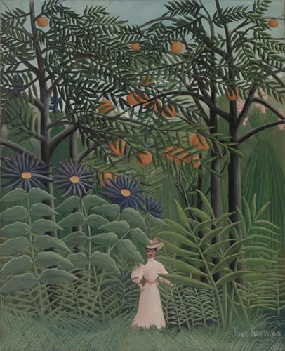 PMEFGJDPE Bekannt Dekorative Bilder Graffiti Wandbild Frau, die in einem Exotischen wald geht von henri rousseau Graffiti Leinwanddruck für Wanddekoration 60x90cm von PMEFGJDPE