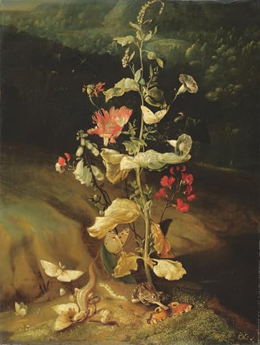 PMEFGJDPE Bekannt Dekorative Bilder Graffiti Wandbild Stillleben mit Blumen von Otto Marseus Van Schrieck Graffiti Leinwanddruck für Wanddekoration 60x90cm von PMEFGJDPE