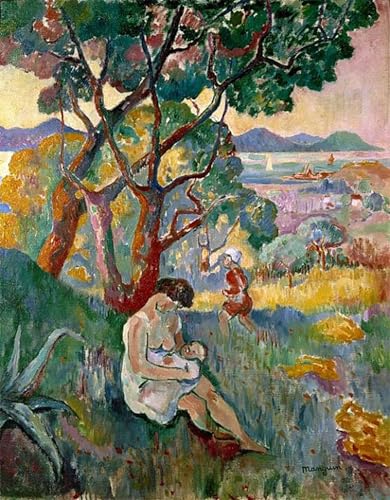PMEFGJDPE Bekannt Leinwand Wandkunst Malerei Wandkunst Blick auf Saint-Tropez von der Villa Demière von Henri Charles Manguin Mode Leinwand Malerei für Office Home Decor 60x90cm von PMEFGJDPE