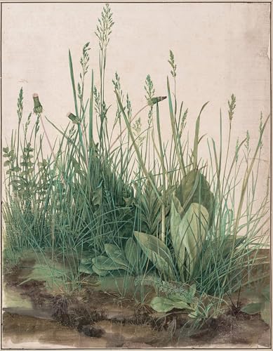 PMEFGJDPE Bekannt Poster Kunstdrucke Porträts Wandkunst Der Große Rasen Von Albrecht Dürer Leinwand Ölgemälde für Heimtextilien 60x90cm PMEFGJDPE Bekannt Poster Kunstdrucke Porträts Wandkunst Der Große Rasen Von Albrecht Dürer Leinwand Ölgemälde für Heimtextilien 60x90cm von PMEFGJDPE