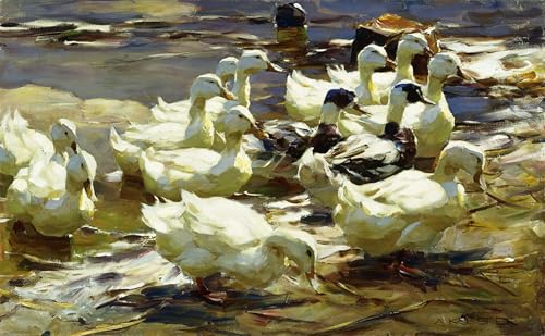 PMEFGJDPE Bekannt Poster Kunstdrucke Porträts Wandkunst Enten im Teich von Alexander Koester Leinwand Ölgemälde für Heimtextilien 60x90cm PMEFGJDPE Bekannt Poster Kunstdrucke Porträts Wandkunst Enten im Teich von Alexander Koester Leinwand Ölgemälde für Heimtextilien 60x90cm von PMEFGJDPE